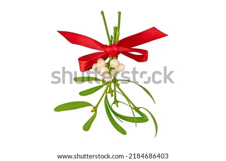 Mistletoe bunch with white berries and green leaves tied with red satin bow . Christmas decoration isolated on white.