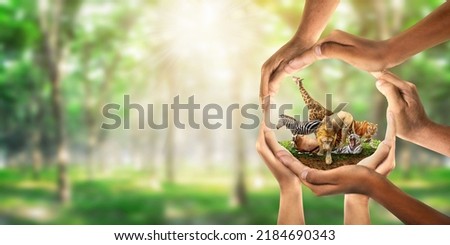 Wildlife Conservation Day. wildlife protection, multiracial human come to build hands in shape of circle to protect the environment. promote conservation wildlife. green background Sun light. Ecology. Royalty-Free Stock Photo #2184690343