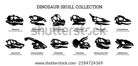 Fossil dinosaur silhouette infographics. Dino teeth skull. Bone skeleton print graphic set. Dead ancient predator art. Dinosaur Diplodocus Velociraptor Stegosaurus Triceratops Allosaurus Tyrannosaurus