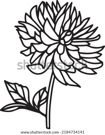Chrysanthemum Vector, Clip Art, Black and White