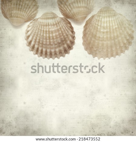 textured old paper background with cockle shells