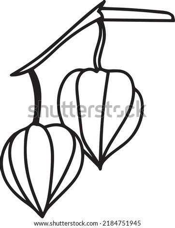 Physalis Vector, Clip Art, Black and White