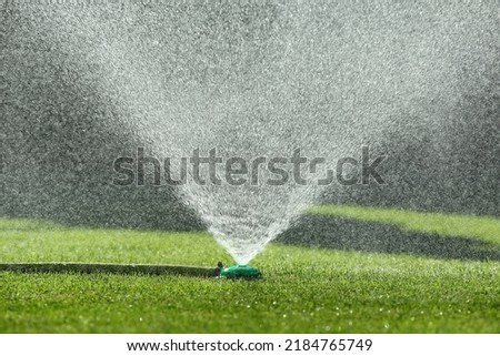 Sprinkler watering on the lawn