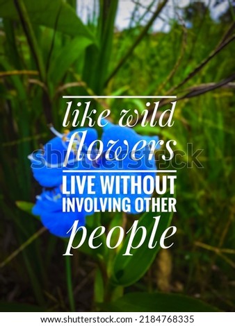 motivation quote, like wild flowers live without involving other people, inspiration image quote, palembang, indonesia
