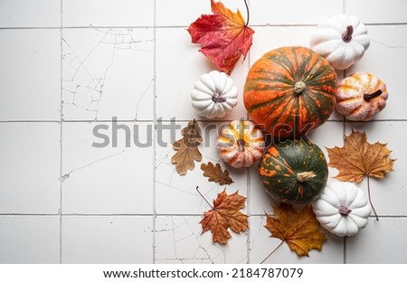 Cozy autumn flat lay with pumpkins and autumn leaves on tile background. Autumn home decor. Cozy fall mood. Thanksgiving. Halloween.