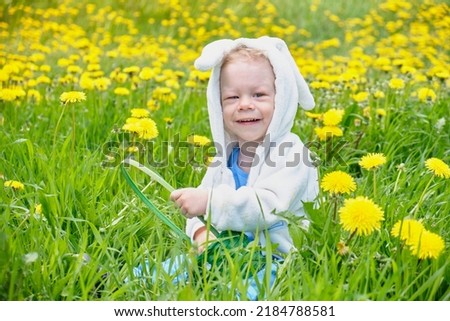 happy child dressed as rabbit sits on a field with dandelions