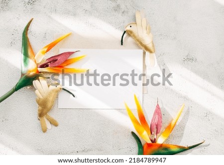 Strelitzia flowers golden mini hummingbird envelope and blank greeting card mock-up on a light background. soft sun shadows. top view. flat lay. wedding minimalist composition. invitation template.