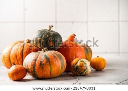 Thanksgiving or Halloween autumn decorations with heirloom mini reen and orange pumpkins against a rustic white autumn background.