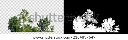Green Trees on transparent background. are Forest and foliage in summer for both printing and web pages with cut path and alpha channel  on black background