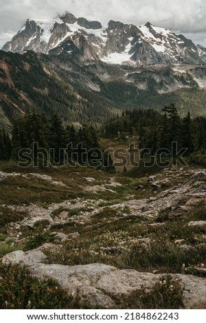 View at the valley and mountains, Washington, USA