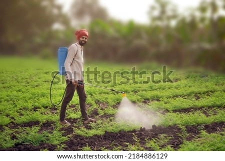 Pictures of farmer sprayed with fertilizers for vegetables with flow or distribution of water into the gram field