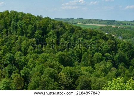 hill overgrown with dense deciduous forest, view from above Royalty-Free Stock Photo #2184897849
