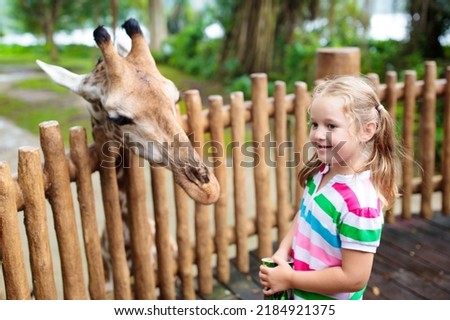 Family feeding giraffe in zoo. Children feed giraffes in tropical safari park during summer vacation in Singapore. Kids watch animals. Little girl giving fruit to wild animal. Royalty-Free Stock Photo #2184921375