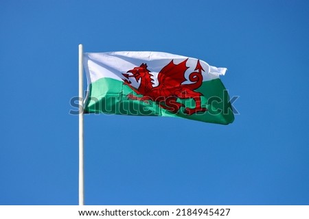 Wales flag - red dragon passant on white and green - bold and proud floating in the wind against blue sky