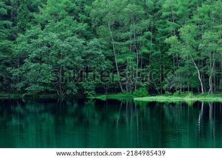 A lakeside scene with beautiful deep green. Misyaka Pond, Nagano, Japan. Royalty-Free Stock Photo #2184985439