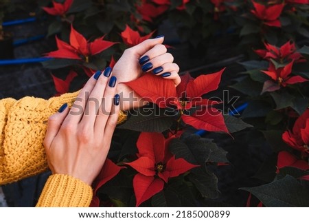 Blue nail polish manicure with red flower poinsettia. Hand in yellow sweater. Close-up.