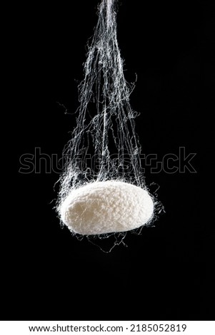 Natural silkworm cocoons isolated on black background Royalty-Free Stock Photo #2185052819