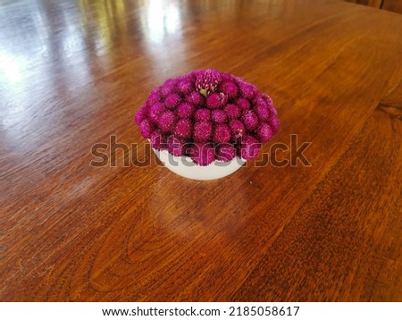 purple flower in a white flower vase for room decoration
