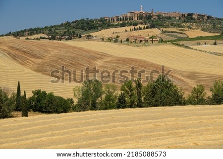 Hot summer in yellow italian countryside