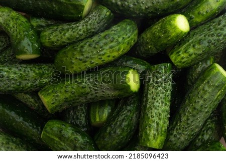 fresh cucumbers closeup for background