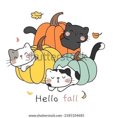 Draw vector illustration character cute cats in pumpkin For autumn Fall concept Doodle cartoon style