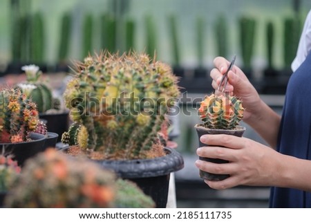 Beautiful girl using digital tablet while checking growth of potted flowers and working in a greenhouse. shop and holds cacti in her hands cactus garden
