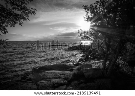 Sun beams poke their way through the lush green leaves of a tree on the shore of Lake Nippising during a beautifully colourful sunset in North Bay, Ontario, converted to black and white.