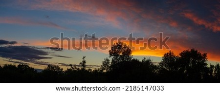 Dark red stratus clouds and tree silhouettes at dusk. Summer. Web banner.