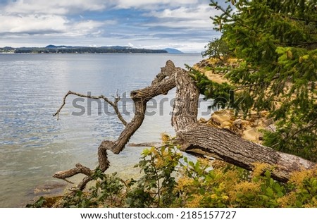 Landscape of seashore in the Pacific rim National Park in Vancouver Island British columbia, Canada. Beautiful seaside landscape in Jack Point and Biggs Park Nanaimo. Travel photo, copy space for text