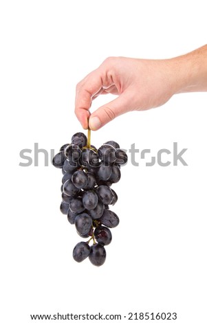 Black grapes in hand. Isolated on a white background. 