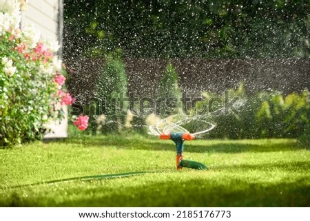 Watering garden with a hose at heat summer. Close up. Automatic smart irrigation system. Royalty-Free Stock Photo #2185176773