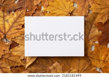 Autumn concept. Top close up view photo of paper card over pile of yellow maple leaves on isolated grey background with blank space