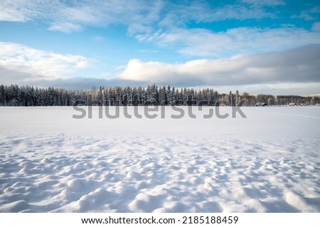 Scenic image of spruces tree. Cloudy blue sky, calm wintry scene. Ski resort. Great picture of wild area. Explore the beauty of earth. Tourism concept. Christmas and Happy New Year!