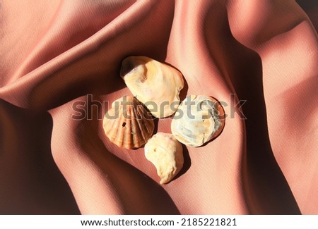 Various seashells with silk high quality picture