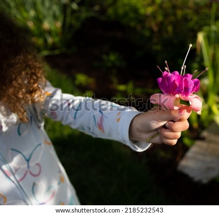 A young girl holding a Seventh Heaven flower, a giant fuchsia flower hybrid. 