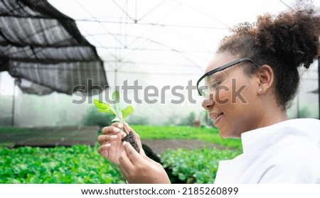 African American Plant Genetic Expert researcher holding young Plant for research with other species vegetables in organic farm. Good quality products. Scientist in greenhouse. Earths day concept Royalty-Free Stock Photo #2185260899
