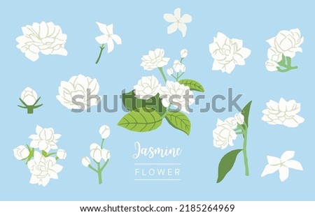 white jasmine object on blue background Royalty-Free Stock Photo #2185264969