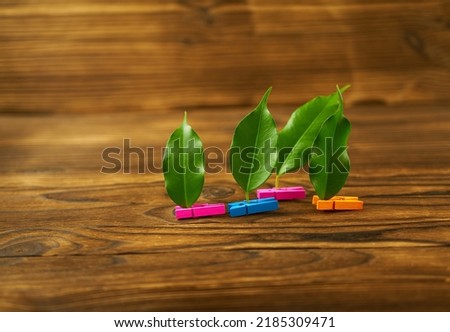 Beautiful desktop background. Multicolored clothespins with green leaves. 