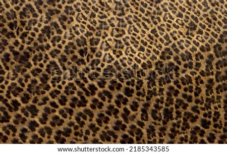 Cheetah, Leopard texture for fashion and design. Wild animal skin concept. Spot pattern close-up background.