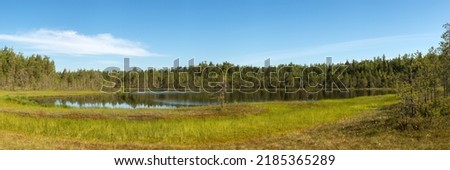 panorama with a small lake and a swamp in the forest
