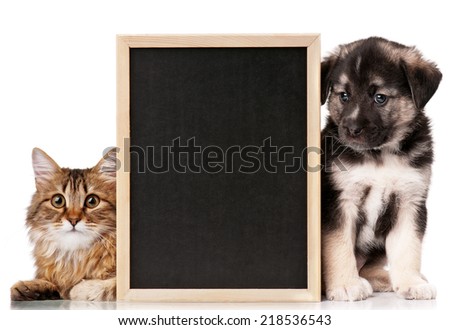 Pets with blackboard