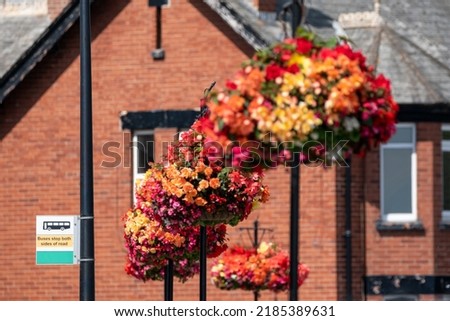 Bus top sign with pretty softly focused flower baskets and a red brick house in the background. Selective focus highlights the signage. Colorful picture that tells a story of rural public transport.