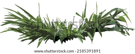 clump of green grass, bird's nest on white background isolated