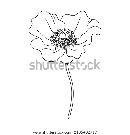 Line Art Flower and Plants. Aesthetic Hand Drawn Design Elements 