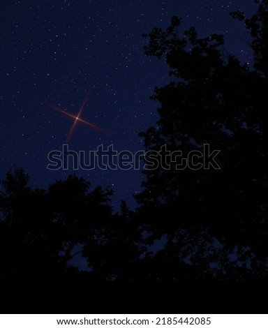 Bright red star rising in the sky in North Carolina for Christmas Eve