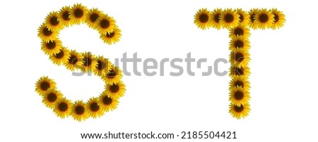 alphabet ST, sunflower letter isolated on white background. 