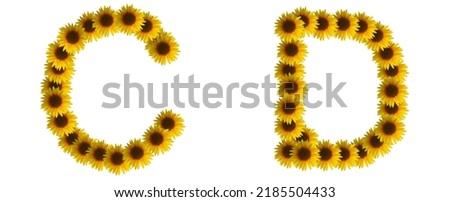 alphabet CD, sunflower letter isolated on white background. 