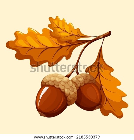 Acorns on a branch with leaves Royalty-Free Stock Photo #2185530379