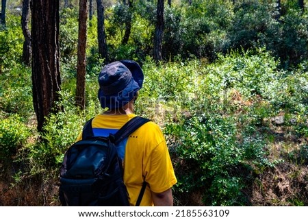 Young man exploring new places in nature, hiking in forest, nature and freedom, rear view.