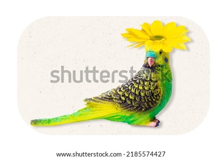 Composite creative collage illustration of parrot bird yellow flower head isolated on painted background